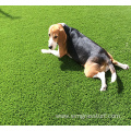 Artificial Grass Used for Pets